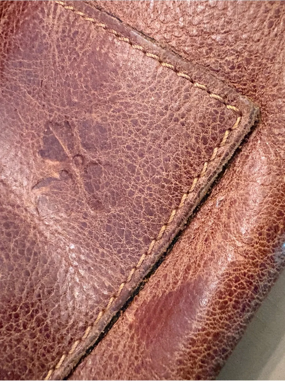 Patricia Nash Rustic Brown Leather Backpack with Canvas Logo Pouch